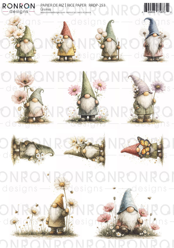 Papier De Riz: Gnomes