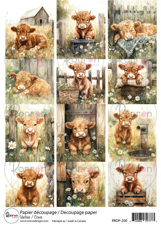 Papier De Riz: Vaches