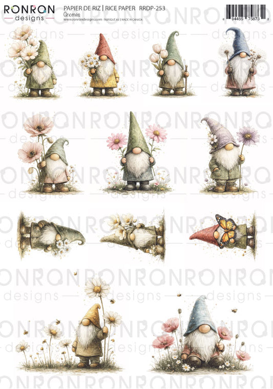 Papier De Riz: Gnomes