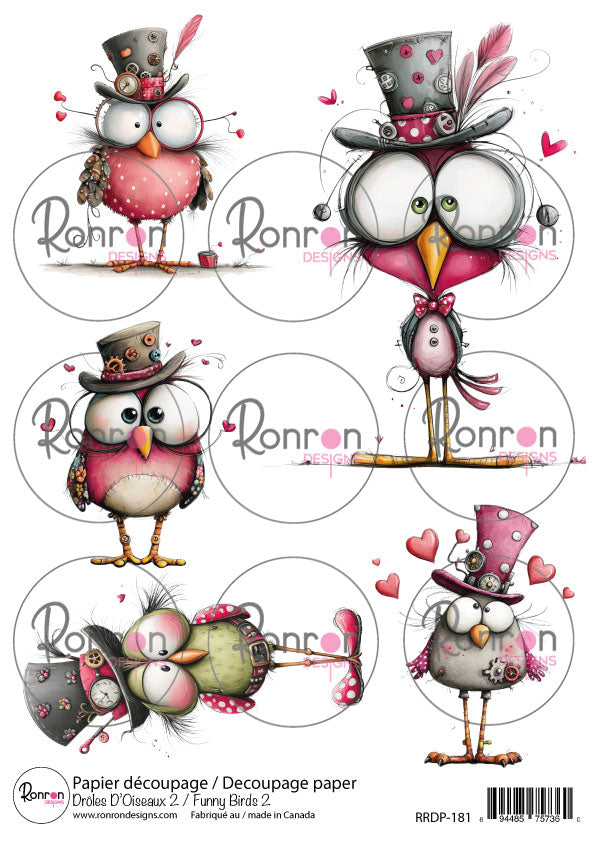 Papier De Riz: Drôles D'Oiseaux 2